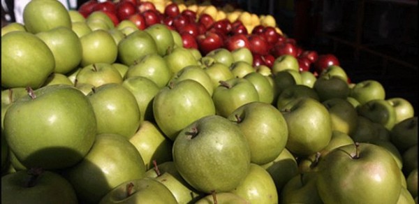 وزارت کشاورزی، واردات میوه را ممنوع اعلام کرد