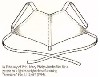 تاریخچه سوتین (کرست)