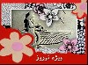 این نامهای به ظاهر آشنای سال خورشیدی