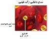 بایدها برای کاهش چربی خون