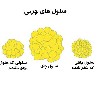 تعداد سلول های چربی در بزرگسالی ثابت می ماند