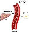 انواع چربی های خون