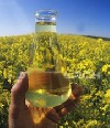 خواص روغن کانولا Canola Oil