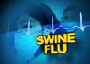 آنفلوآنزای خوکی به مدینه رسید