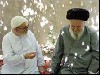 دیدار سه نفر از مراجع قم از جمله برای بحث درباره مسائل سیاسی روز