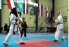 نایب رئیس فدراسیون فدراسیون کاراته : نمی‌دانیم اینها چطور پناهنده شدند