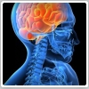 تحمل دردهای مزمن به عوارض غیر قابل برگشت در مغز منجر می‌شود