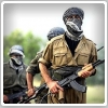 ورود نیروهای نظامی ایران به خاک عراق، به دنبال نیروهای پژاک