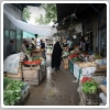 افزایش ۲۵ درصدی قیمت مواد خوراکی در در تهران