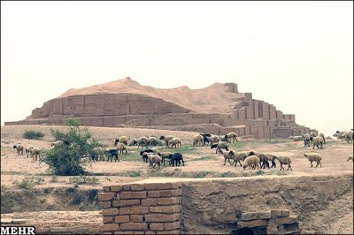 جولان گوسفندان در زیگورات و بی خیالی مسئولان میراث فرهنگی