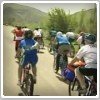 دویدن کره خر در کنار یک گروه دوچرخه سوار ایرانی