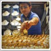 تب تند طلای تقلبی در بازار سکه و طلای ایران