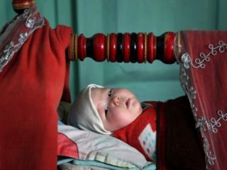 نسبت مستقیم تغذیه از شیر مادر با ضریب هوشی و درآمد بالا در بزرگسالی