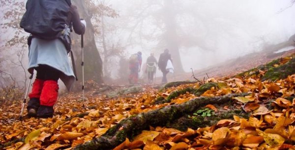 دریایی از ابر، چشمانداز بالای کوه لاکمر در سوادکوه دریایی از ابر، چشمانداز بالای کوه لاکمر در سوادکوه