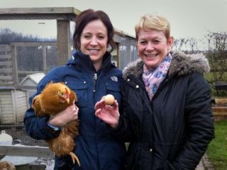 یک تخم‌مرغ گرد ۴۸۰ پوند فروخته شد