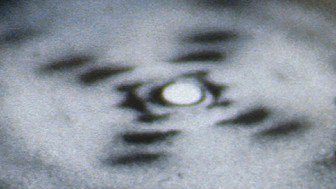 ما راز حیات را کشف کردیم ما راز حیات را کشف کردیم