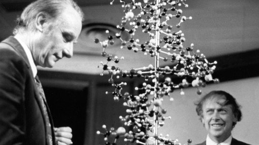 ما راز حیات را کشف کردیم