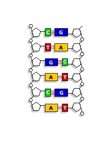ما راز حیات را کشف کردیم