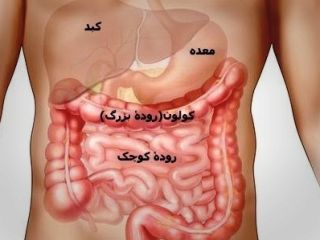 ۱۲ روش برای پیشگیری از سرطان روده