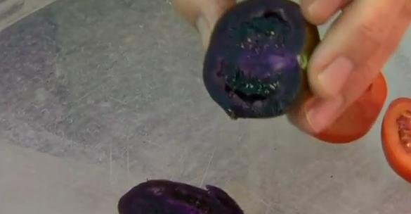 تولید گوجه فرنگی اصلاح شده، به رنگ بادمجان - ویدیو تولید گوجه فرنگی اصلاح شده، به رنگ بادمجان - ویدیو