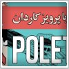 پولتیک - برنامه شماره ۳۸( برنامه ای با اجرای کامبیز حسینی ) - مهمان هفته  پرویز کاردان