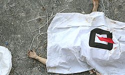 قتل در باغ، پیامد سوء ظن به ارتباط نامشروع قتل در باغ، پیامد سوء ظن به ارتباط نامشروع