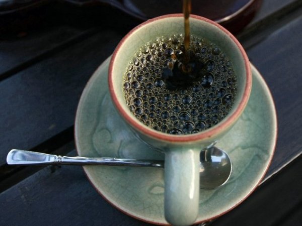 گرانترین قهوه دنیا در مدفوع فیل
