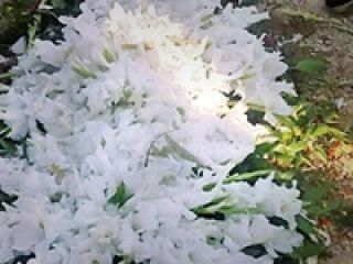 ماجرای عجیب جابه‌جایی اجساد در بیمارستان