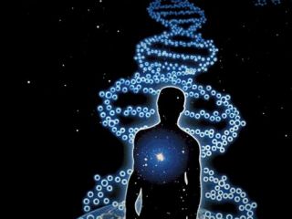 DNA مولکولی جاودانه است