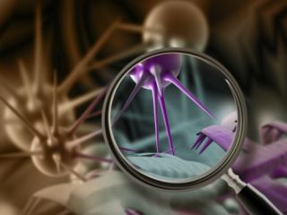 غربالگری سه نوع سرطان 'بزودی در شهرهای ایران آغاز می‌شود'