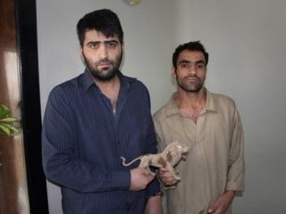 چاه‌کن و چوپان دروغگو دستگیر شدند