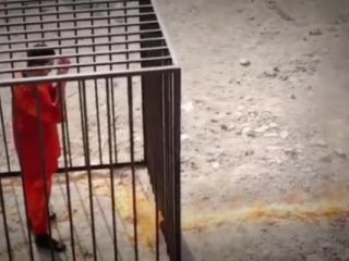 دلیل آرامش خلبان اردنی کشف شد