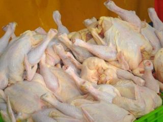 وزیر جهاد کشاورزی: قیمت مرغ گران نشده، مردم از مغازه مرغ نخرند