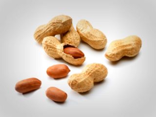 پیشگیری از حساسیت به بادام زمینی با خوردن منظم آن در سنین پائین