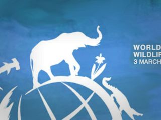 روز حیات‌وحش مبارک