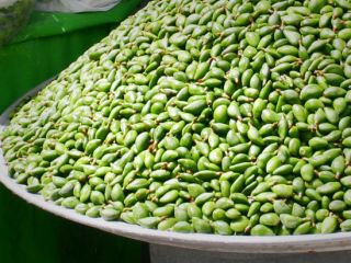 قیمت یک کیلو چغاله بادام برابر با ۱۰ کیلو مرغ