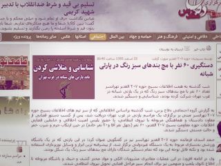 بازداشت گروهی ۶۰ پسر و دختر در تهرانسر از سوی سپاه