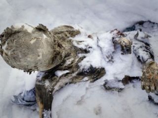 کشف دو مومیایی در بلندترین قله مکزیک