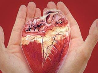 زندگی دوباره برای ۳ بیمار عیدی گردشگر ۱۲ ساله