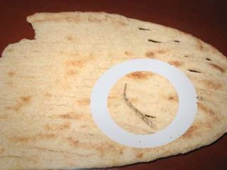 دم مارمولک، نانوایی را تعطیل کرد