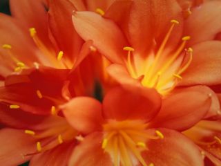 فال روز شنبه ۴ اپریل - ۱۵ فروردین.