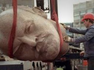 مارمولکی که وارد دنیای سیاست شد!