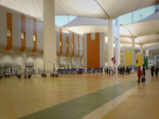 یادداشت یک کاریکاتوریست درباره ماجرای جده  : ذهن آسیب پذیر آریایی ما