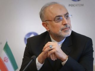 صالحی: بین فهم مشترک و توافق فاصله قابل توجهی وجود دارد