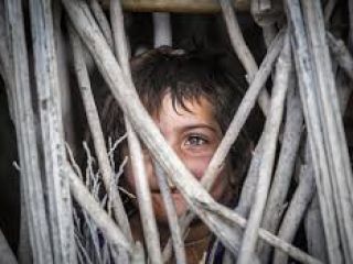 من ایرانی هستم بچه ام هم ایرانی است !