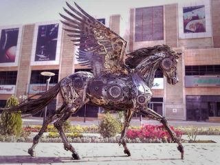 اسب بالدار ایرانی سوژه رسانه‌های خارجی شد