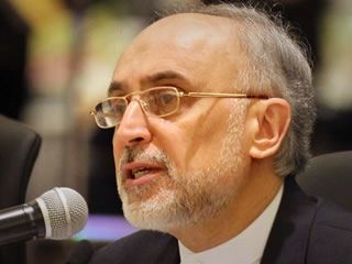 صالحی: من پیشنهاد مذاکره با آمریکا را به رهبری دادم