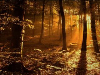 فال روز سه شنبه ۵ مه - ۱۵ اردیبهشت.