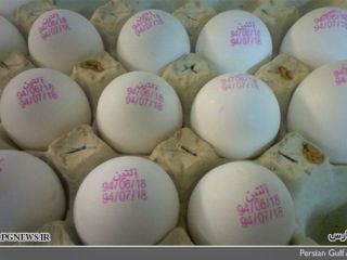 این تخم‌مرغ‌ها ۲ ماه دیگر تولید می‌شوند