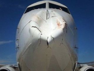 شاخ به شاخ شدن هواپیما و پرنده